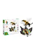 Origami 3D. 2w1 Motyl, Pszczo�a Alexander