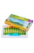 Cricco Pastele olejowe 12 szt.
