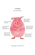 Gudu i Gwai