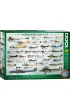 Puzzle 1000 el. Samoloty z okresu I wojny �wiatowej Eurographics