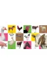 First 100 Animals
