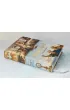 Raphael. The Complete Works. Paintings, Frescoes, Tapestries, Architecture wer. angielska