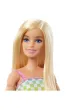 Barbie Fashionistas. Na w�zku str�j w kratk� HJT13 Mattel