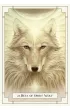 White Light Oracle, Wyrocznia Bia�ego �wiat�a, karty
