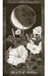 New Era Elements Tarot, karty do wr�enia