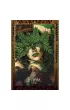 Oracle of the Dragonfae, karty do wr�enia