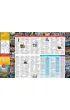Bruksela map&guide PL laminat 2024
