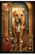 Gilded Reverie, karty do wr�enia
