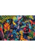 Puzzle 1000 USA Collection: In the Jungle TREFL