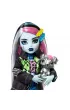 Monster High. Frankie Stein Lalka podstawowa HXH73 Mattel