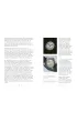 Rolex: The Story Behind the Style