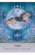 Karty tarot Lunar Magic Oracle