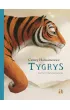 Tygrys