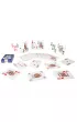 Texas Hold'em Poker