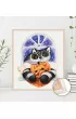 Twoje Hobby Malowanie po numerach - U�ciski 40x50cm