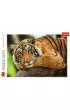 Puzzle 500 el. Portret tygrysa Trefl