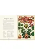 Botanicum