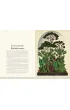Botanicum