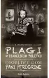 Plagi na Diabelskim Poletku. Pani Peregrine. Tom 6