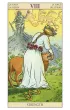 New Vision Tarot, karty do wr�enia