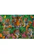 Puzzle 500 el. Tygrysy w d�ungli Educa