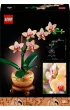 LEGO Botanicals Maa orchidea 10343