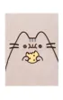 Notes A5 pluszowy A5 Pusheen