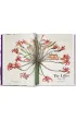 Redout�. The Book of Flowers wer. angielska