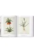 Redout�. The Book of Flowers wer. angielska