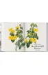 Redout�. The Book of Flowers wer. angielska