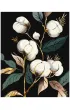 Ideyka Malowanie po numerach - �nie�nobia�a bawe�na 40x50cm