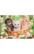 Puzzle 2x60 el. SuperColor. Brothers In Fur Clementoni