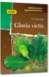 Gloria Victis