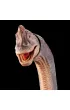 Jurassic World 30 rocznica Brachiozaur Figurka dinozaura HNY77