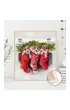 Twoje Hobby Malowanie po numerach - Prezent od �wi�tego Miko�aja 40x50cm