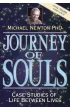 Journey of Souls, ksi��ka