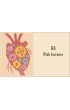 Heart. An Owner's Guide