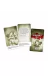 Stra�nicy z�a. Maria. Cz�� 3. 50 Clues. Seria 2 Albi