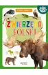 Zwierz�ta Polski