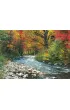 Puzzle 1000 el. Le�ny strumie� Eurographics