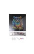 Epee Obraz na p��tnie z mozaik� Sowa 30x30cm