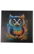 Epee Obraz na p��tnie z mozaik� Sowa 30x30cm