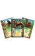 Zoo Tycoon: Gra planszowa Galakta