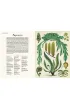 Botanicum. Muzeum Ro�lin