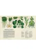 Botanicum. Muzeum Ro�lin