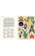 Botanicum. Muzeum Ro�lin