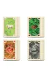 Catan - Gra planszowa