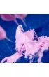 Crazy Science - Slime w ciemno�ci Lisciani