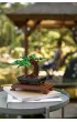 LEGO ICONS Drzewko bonsai 10281
