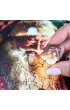 Puzzle drewniane 500 el. Christmas �wi�ty Miko�aj Alexander